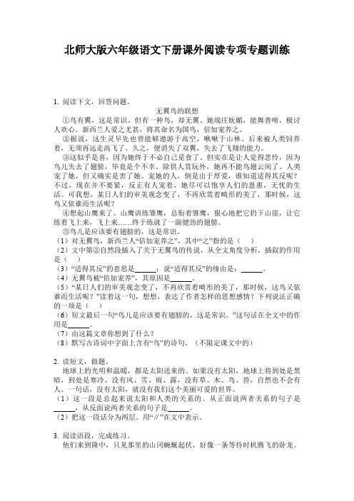 北师大版六年级语文下册课外阅读专项专题训练