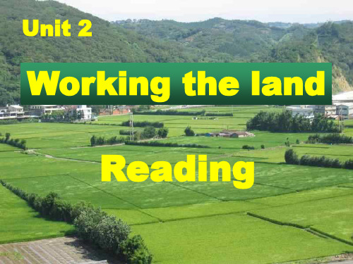 人教高中英语必修4unit2 reading  (共21张ppt)