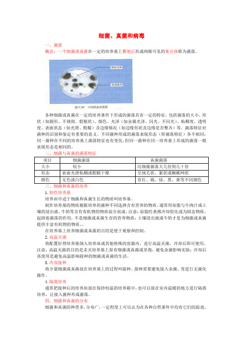 2017年中考生物复习 细菌、真菌和病毒知识点总结 新人教版