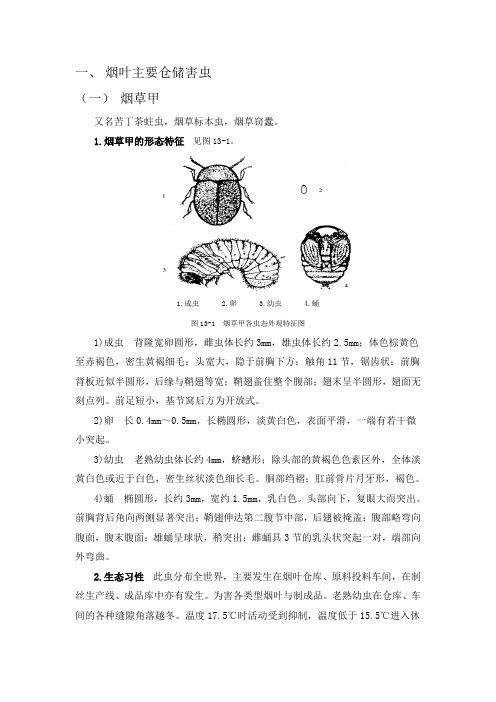 烟叶主要仓储害虫