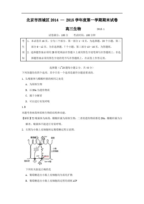 西城区2015届高三上学期期末生物试题及答案考试