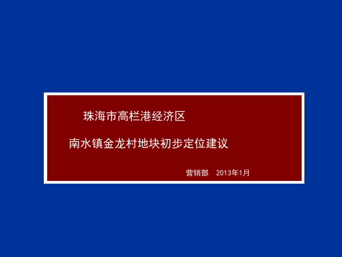 南水镇金龙村地块产品定位建议报告-93PPT