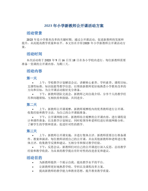 2023年小学新教师公开课活动方案