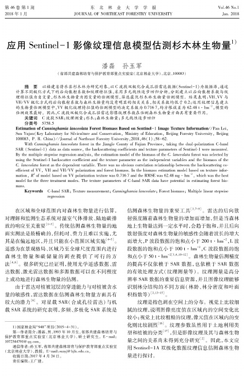 应用Sentinel-1影像纹理信息模型估测杉木林生物量