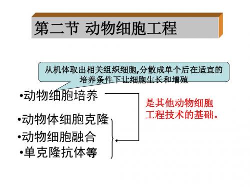 2。2动物细胞工程