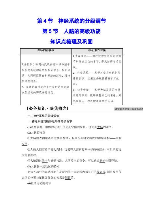 【高中生物】2.4 神经系统的分级调节 2.5人脑的高级功能 (知识点 提升 巩固)选择性必修一