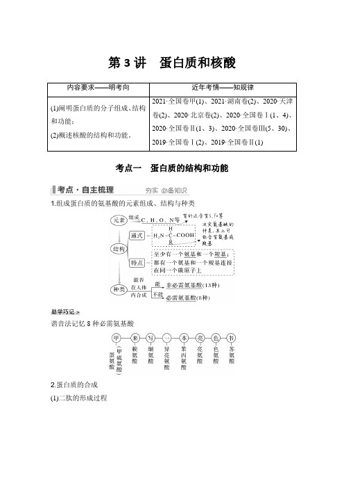 高中生物新教材必修一精品第3讲 蛋白质和核酸