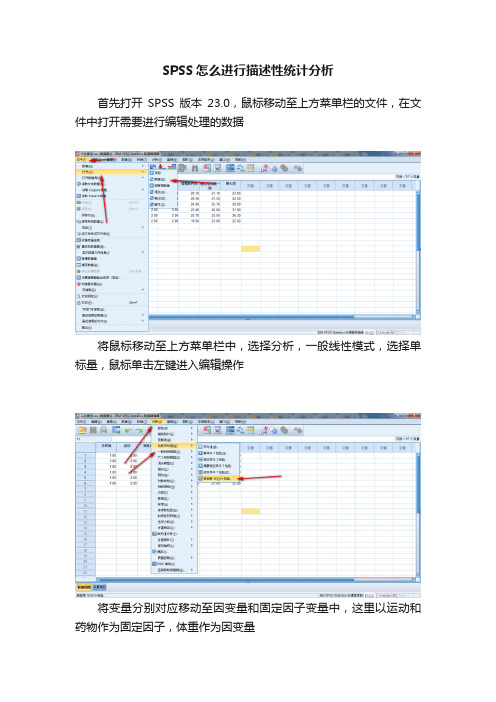 SPSS怎么进行描述性统计分析