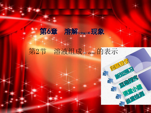 九年级化学下册 6.2 溶液组成的表示课件_1