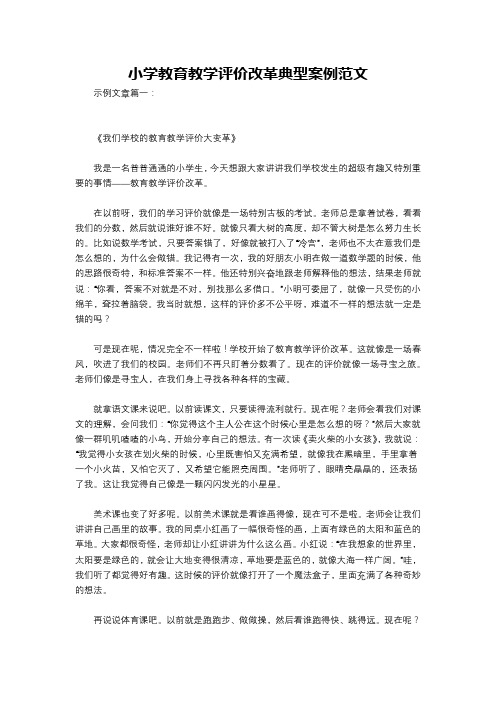 小学教育教学评价改革典型案例范文