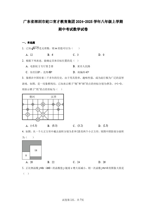 广东省深圳市蛇口育才教育集团2024-2025学年八年级上学期期中考试数学试卷