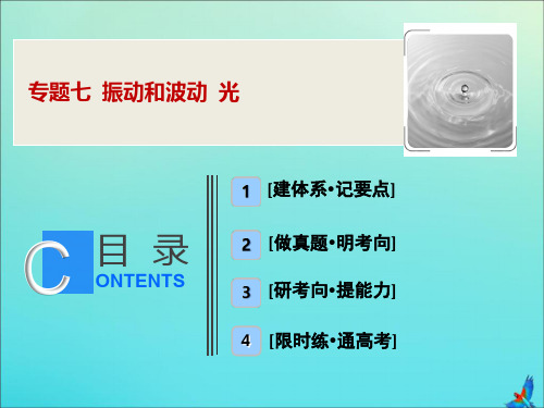 (新课标)2020版高考物理复习专题七振动和波动光课件