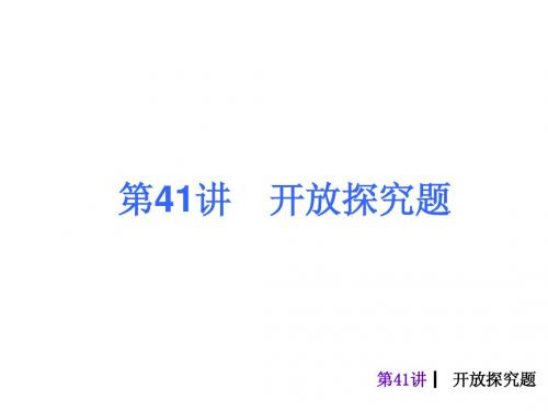 2013年中考数学第41课时开放探究题