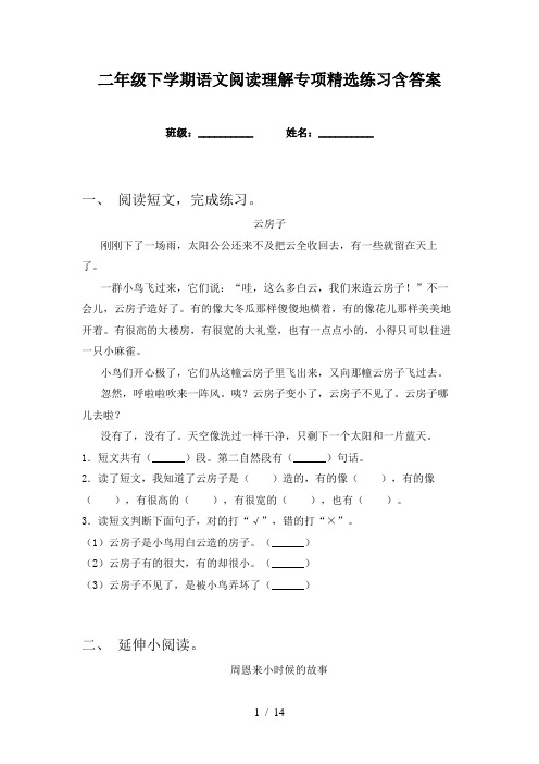 二年级下学期语文阅读理解专项精选练习含答案