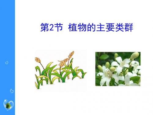 《植物的主要类群》PPT (共20张PPT)