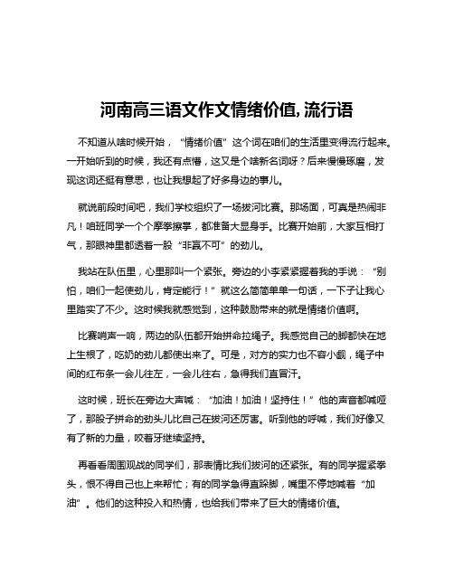 河南高三语文作文情绪价值,流行语