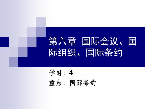 国际会议国际组织国际条约概述(PPT 116页)