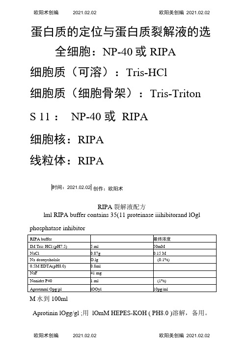 蛋白裂解液之欧阳术创编