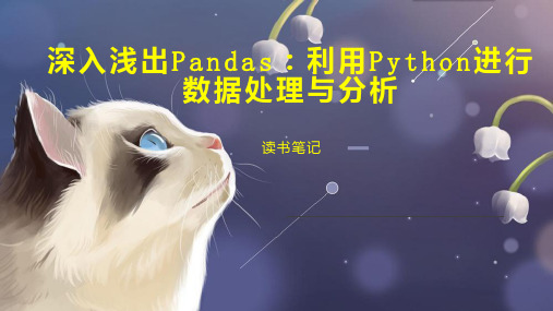 深入浅出Pandas：利用Python进行数据处理与分析