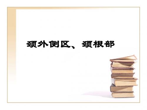 人体解剖-颈外侧区、颈根部