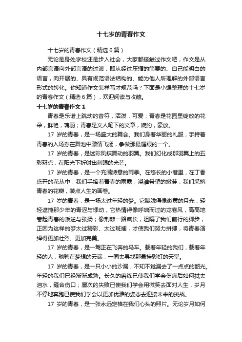 十七岁的青春作文
