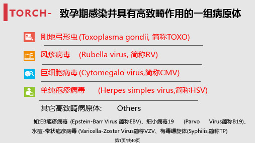 TORCH筛查结果及判读意义PPT课件