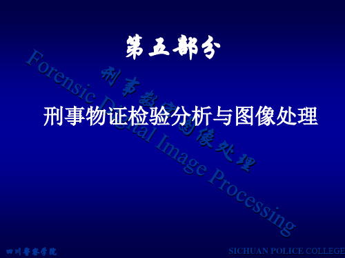 第五部分 公安部门刑事图像检验分析与图像处理 刑事数字图像处理 教学课件