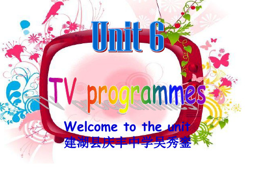 译林牛津版九年级英语上 Unit 6 Welcome to the unit 教学课件共39张PPT