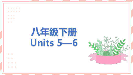 中考英语教材复习八年级下册Units 5—6