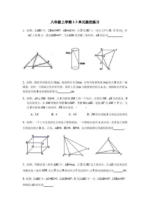 八年级数学上学期1-3单元提优练习