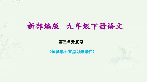 部编版九年级下册初中语文第三单元课后习题重点练习课件