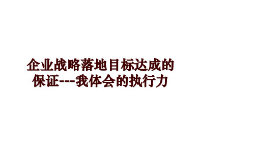 企业战略落地目标达成的保证---我体会的执行力