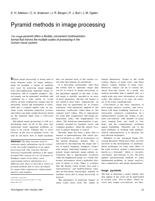 (1984)Pyramid Methods in Image Processing