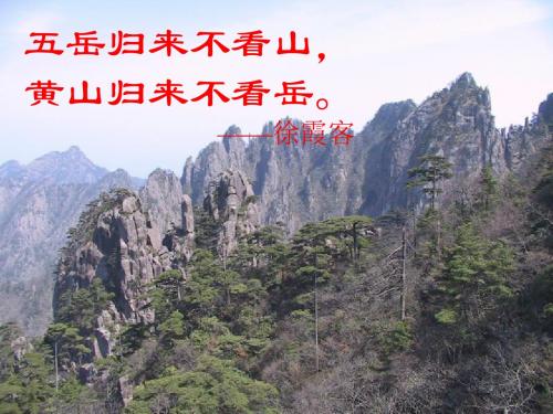 苏教版五年级上册语文16.黄山奇松(上课)
