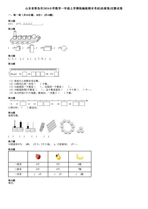 山东省青岛市2024小学数学一年级上学期统编版期末考试(拓展卷)完整试卷