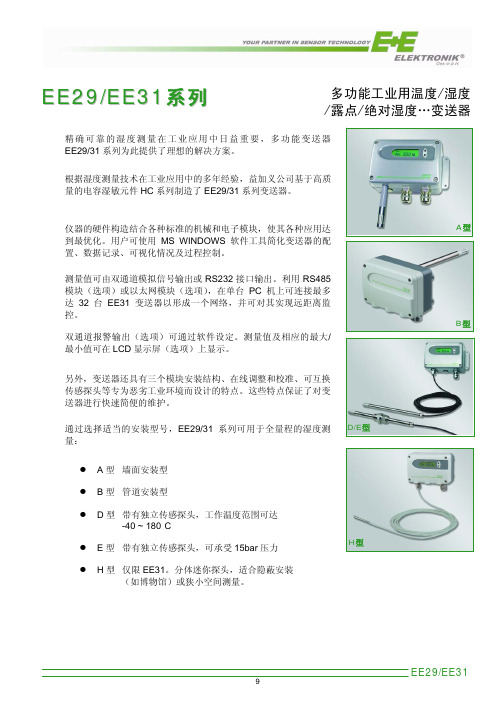 EE29 EE31 系列 多功能变送器 说明书