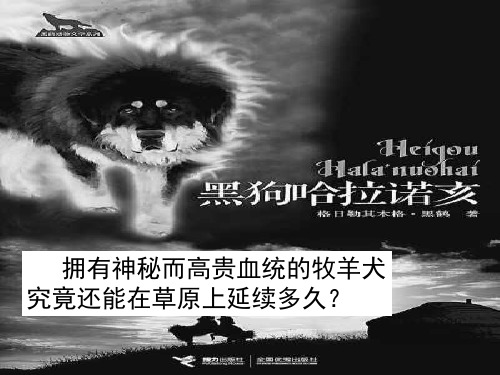 《黑狗哈拉诺亥》
