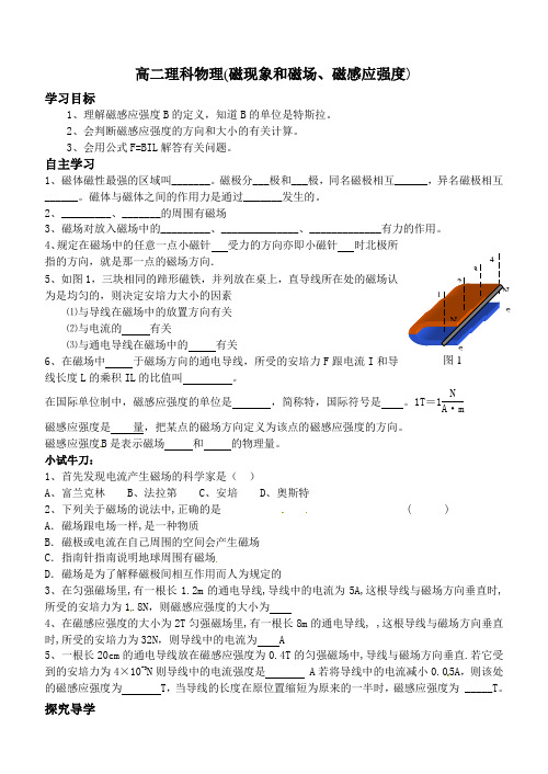 磁现象和磁场、磁感应强度