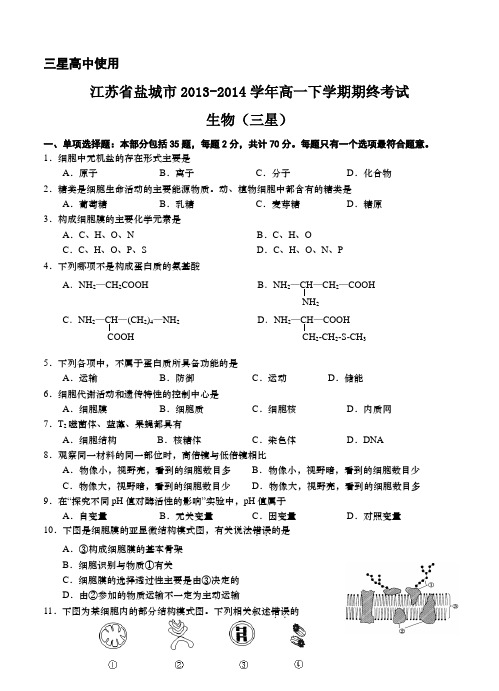 江苏省盐城市2013-2014学年高一下学期期终考试 生物(三星)