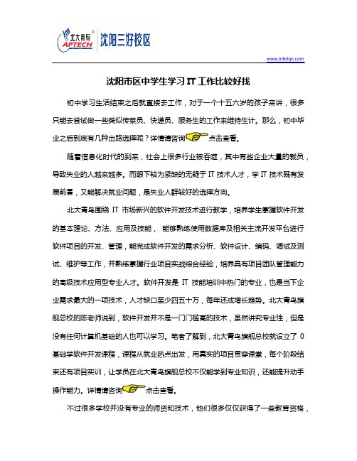 市区中学生学习IT工作比较好找