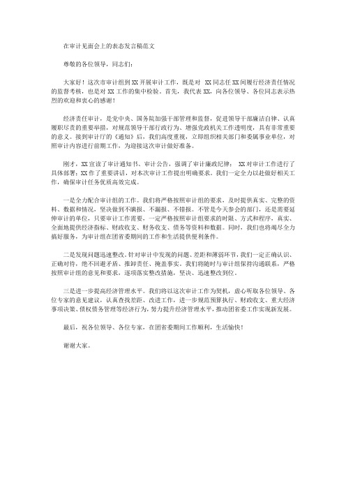 在审计见面会上的表态发言稿范文