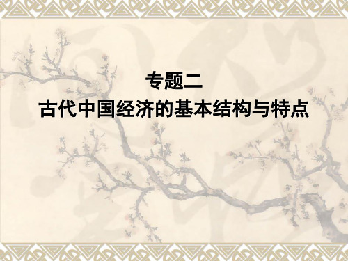 高中历史必修二《专题一古代中国经济的基本结构和特点二古代中国的手工业经济》2064人民版PPT课件