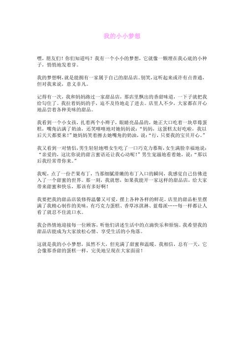 我的小小梦想