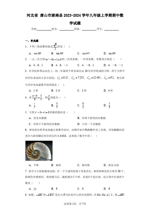 河北省唐山市滦南县2023-2024学年九年级上学期期中数学试题