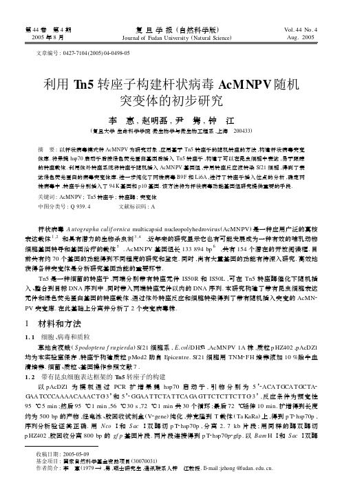 利用Tn5转座子构建杆状病毒AcMNPV随机突变体的初步研究