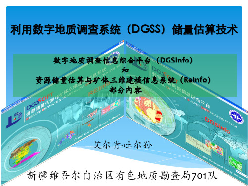 数字地质调查系统(DGSS)储量估算技术(1)