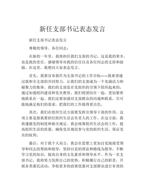 新任支部书记表态发言