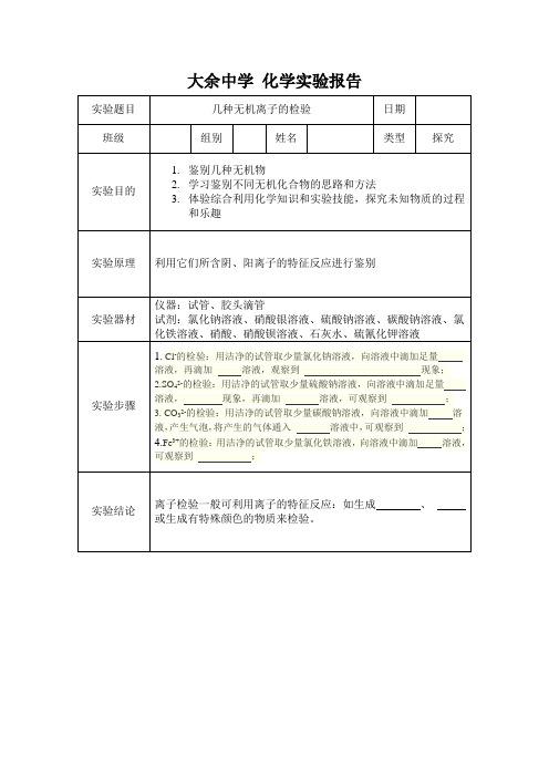 几种常见离子的检验 化学实验报告