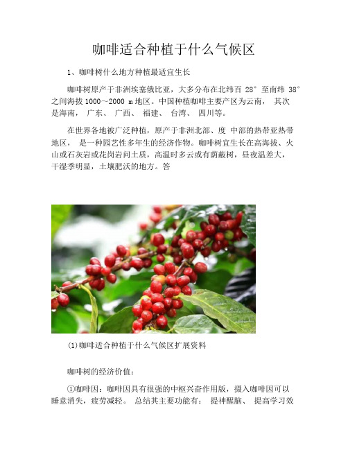 咖啡适合种植于什么气候区