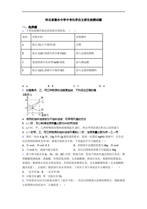 河北省衡水中学中考化学自主招生检测试题